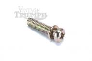 This is a standard screw for the top/float chamber of a carburetor on s triumph motorcycle. 