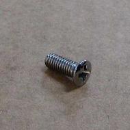 This is the screw that holds the name plate (Triumph) onto the side cover