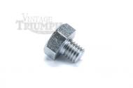 This is s a knee pad bolt, a triumph plate type for a triumph motorcycle. 