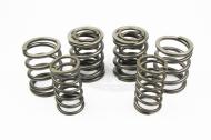 Valve Spring Set - 500
