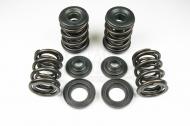 Valve Spring Kit - 750 -Kibble White
